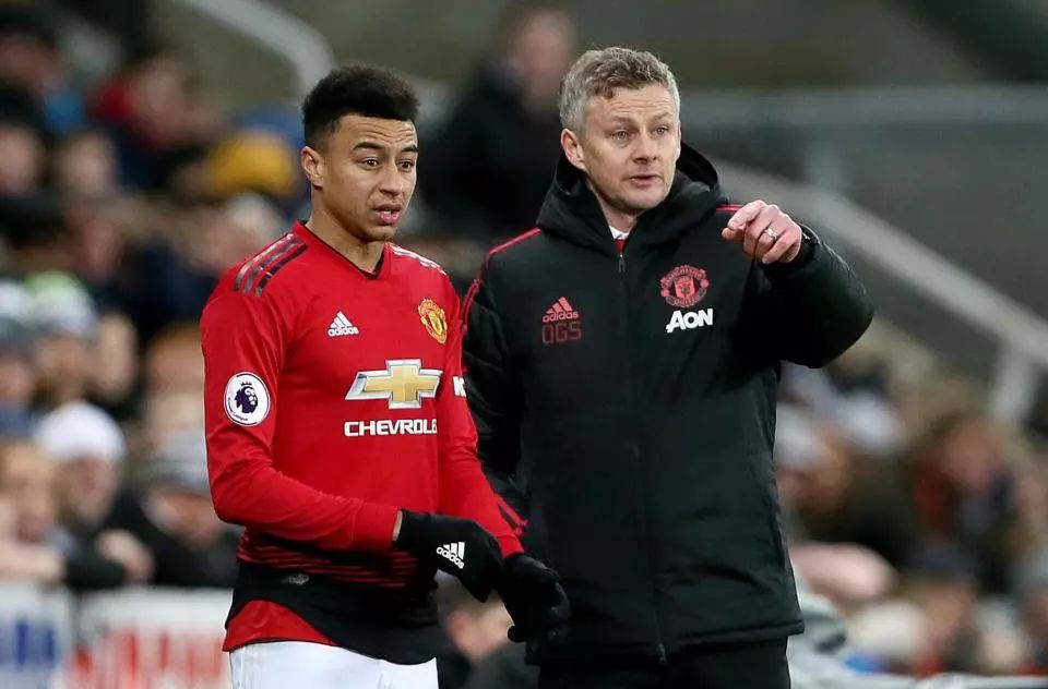 略或简单的 略或简单的