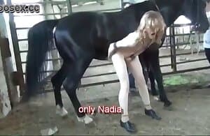 Cô gái quan hệ tình dục với một con ngựa như cô ấy thích-xxx